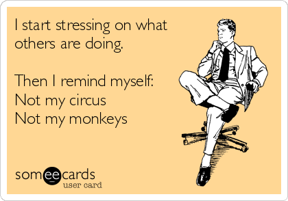 i-start-stressing-on-what-others-are-doing-then-i-remind-myself-not-my-circus-not-my-monkeys-06b8c